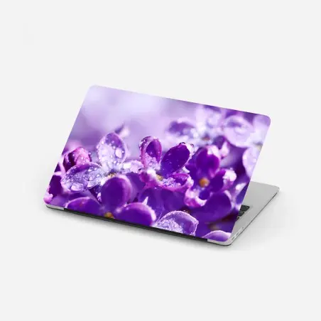 Pegatina para portátil lilas moradas en primer plano con gotas de rocío – Pixers®