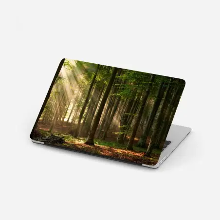 Pegatina para portátil bosque iluminado al amanecer – Pixers®
