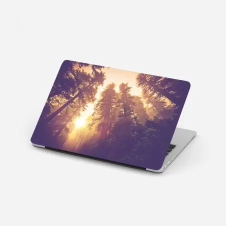 Pegatina para portátil amanecer mágico en el bosque de secuoyas – Pixers®