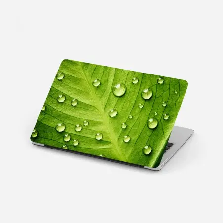 Pegatina para portátil hoja verde con gotas de rocío – Pixers®