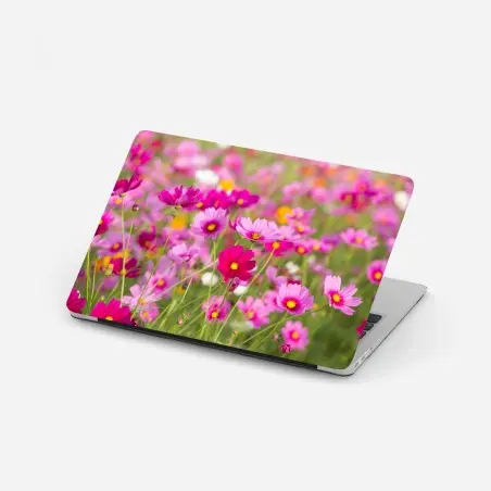 Pegatina para portátil campo de cosmos rosados en flor – Pixers®