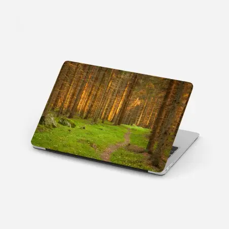 Pegatina para portátil bosque iluminado al atardecer – Pixers®