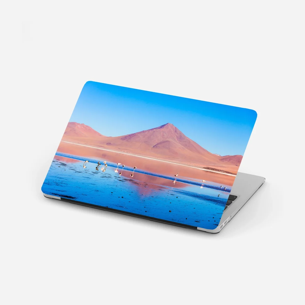 Pegatina para portátil panorámica de Laguna Colorada con flamencos – Pixers® Pegatina para portátil panorámica de Laguna Colorada con flamencos – Pixers®