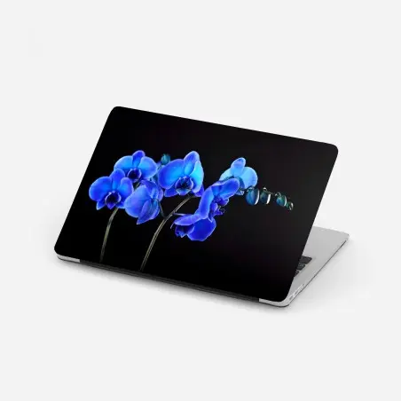 Pegatina para portátil orquídea azul sobre fondo negro – Pixers®
