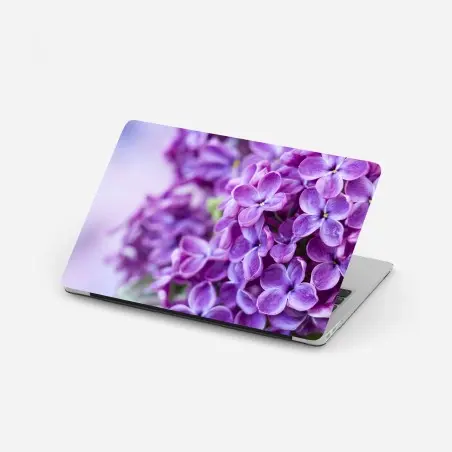 Pegatina para portátil lilas moradas en primer plano para decoración – Pixers®