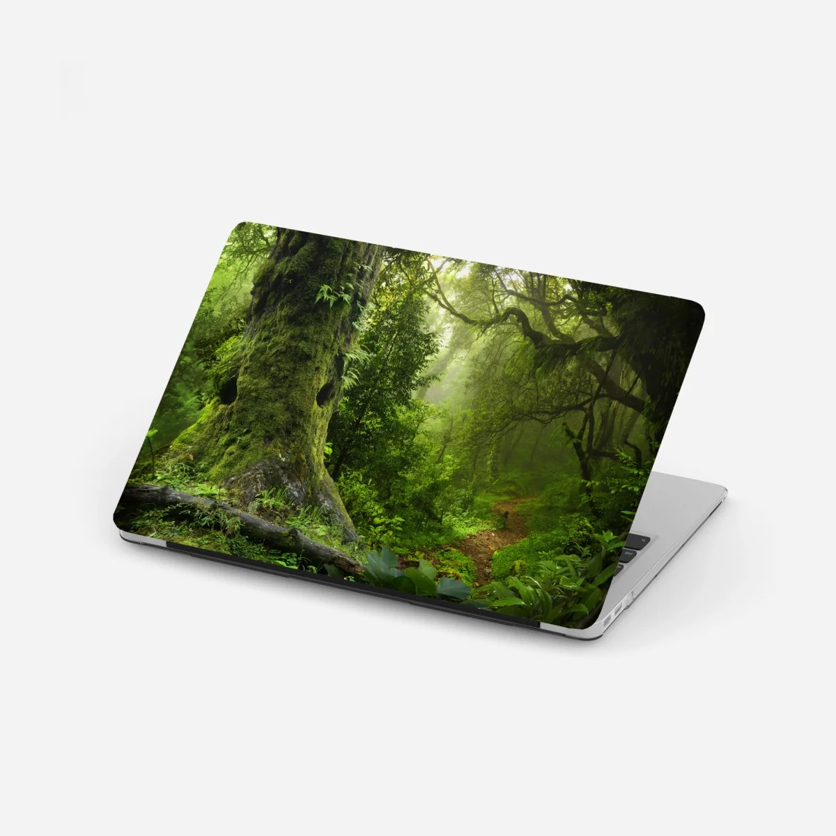 Pegatina para portátil bosque ancestral en bruma – Pixers® Pegatina para portátil bosque ancestral en bruma – Pixers®