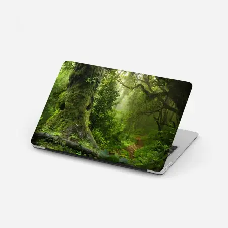Pegatina para portátil bosque ancestral en bruma – Pixers®