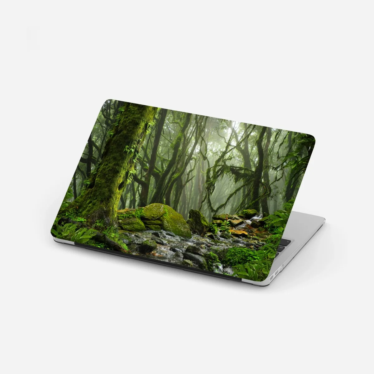 Pegatina para portátil bosque húmedo con arroyo entre rocas – Pixers® Pegatina para portátil bosque húmedo con arroyo entre rocas – Pixers®