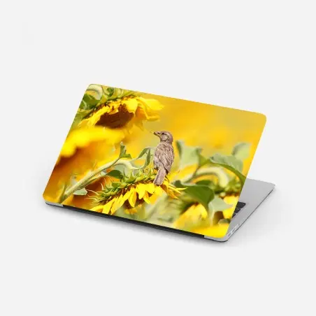 Pegatina para portátil gorrión en girasol bajo luz dorada – Pixers®