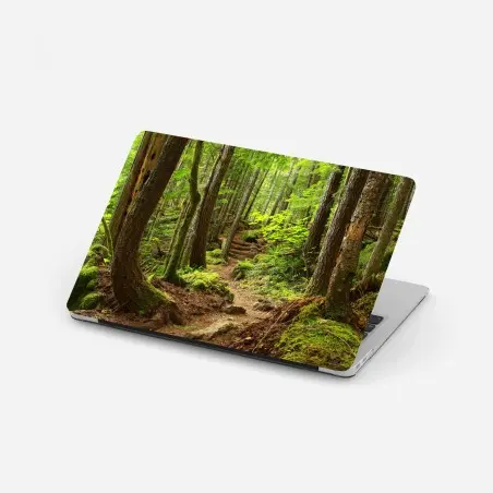 Pegatina para portátil sendero en bosque esmeralda – Pixers®