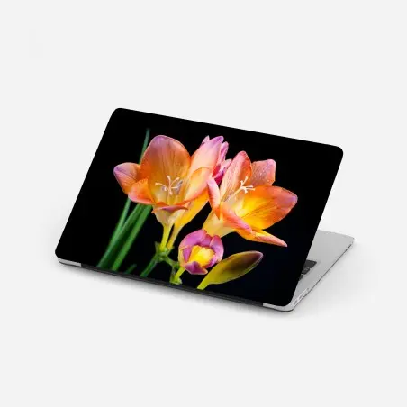 Pegatina para portátil fresias anaranjadas sobre fondo negro – Pixers®