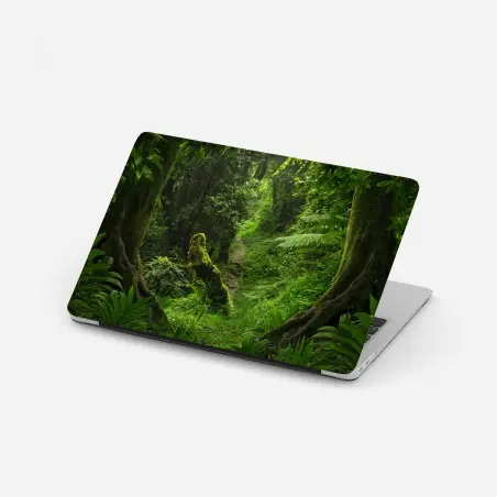Pegatina para portátil bosque encantado: sendero entre musgo y helechos – Pixers®