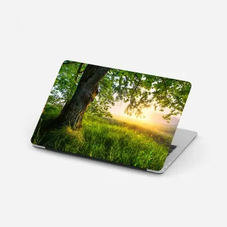 Pegatina para portátil roble majestuoso al amanecer – Pixers®