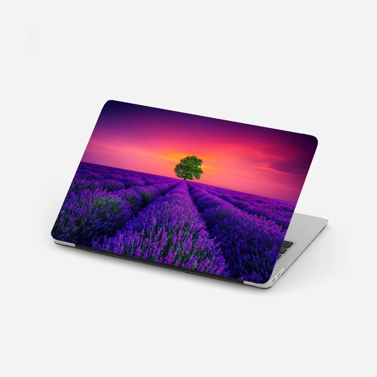 Pegatina para portátil árbol solitario entre campos de lavanda al atardecer – Pixers® Pegatina para portátil árbol solitario entre campos de lavanda al atardecer – Pixers®