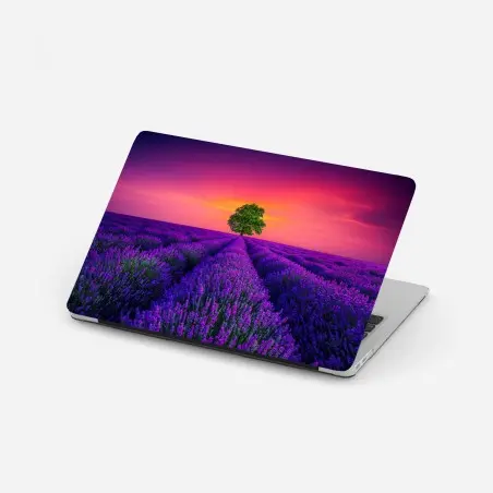 Pegatina para portátil árbol solitario entre campos de lavanda al atardecer – Pixers®