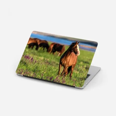 Pegatina para portátil caballo en pradera al atardecer – Pixers®