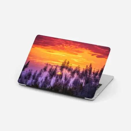 Pegatina para portátil puesta de sol entre cañas silvestres – Pixers®