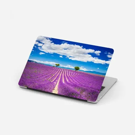 Pegatina para portátil campo de lavanda en Provenza al atardecer – Pixers®