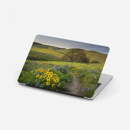 Pegatina para portátil sendero entre flores silvestres en pradera – Pixers®