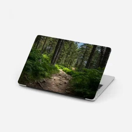 Pegatina para portátil sendero boscoso bañado de luz entre helechos – Pixers®