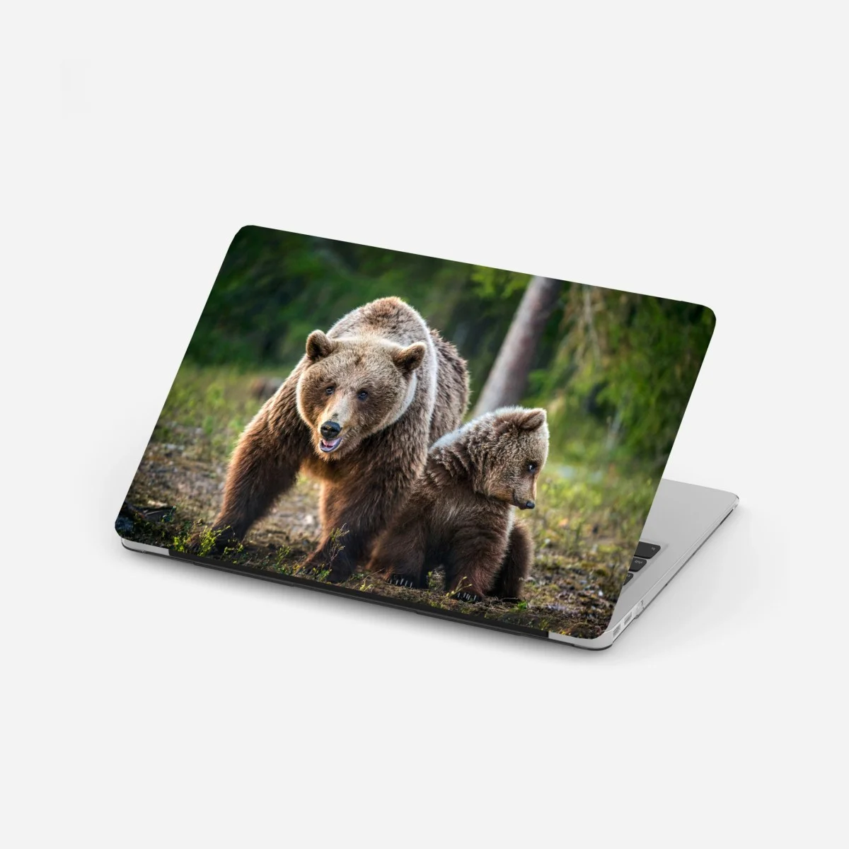 Pegatina para portátil osa parda y cachorro en el bosque – Pixers® Pegatina para portátil osa parda y cachorro en el bosque – Pixers®