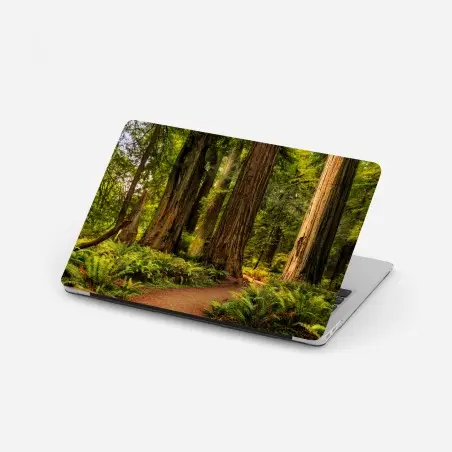 Pegatina para portátil bosque de secuoyas en California – Pixers®