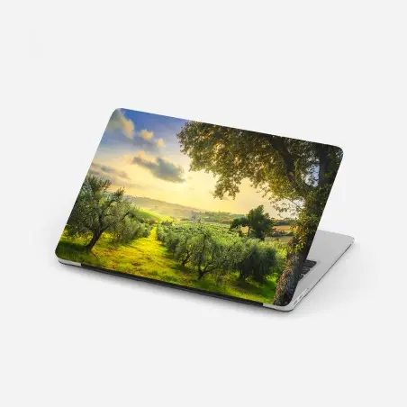 Pegatina para portátil atardecer en los olivares de Casale Marittimo, Toscana – Pixers®