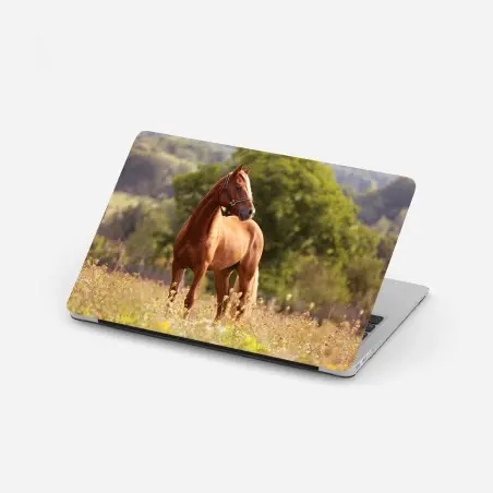 Pegatina para portátil caballo castaño en pradera tranquila – Pixers®