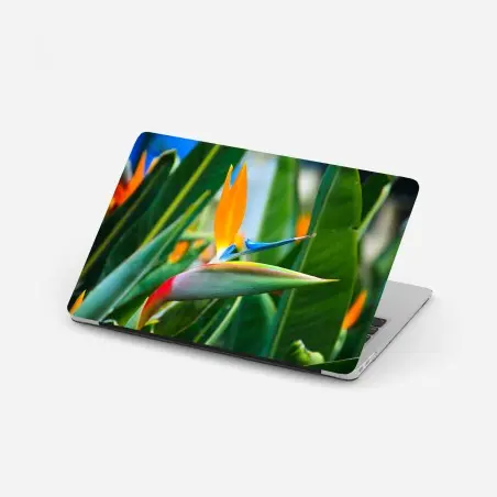 Pegatina para portátil ave del paraíso tropical vibrante – Pixers®