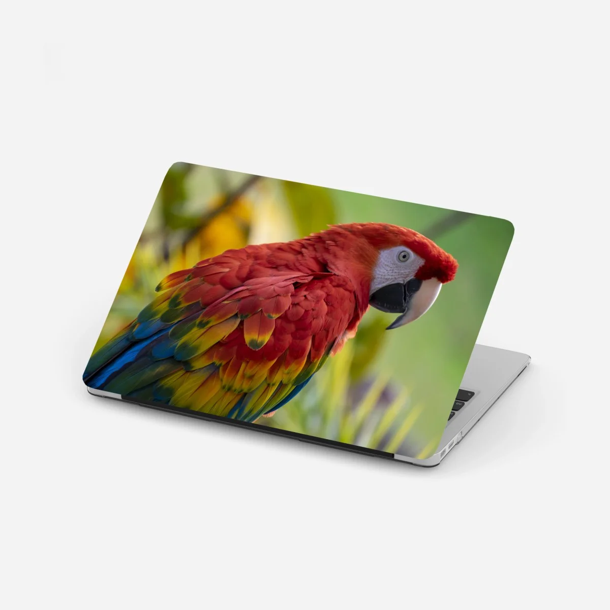 Pegatina para portátil guacamayo escarlata de plumaje vibrante – Pixers® Pegatina para portátil guacamayo escarlata de plumaje vibrante – Pixers®