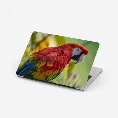 Pegatina para portátil guacamayo escarlata de plumaje vibrante – Pixers®