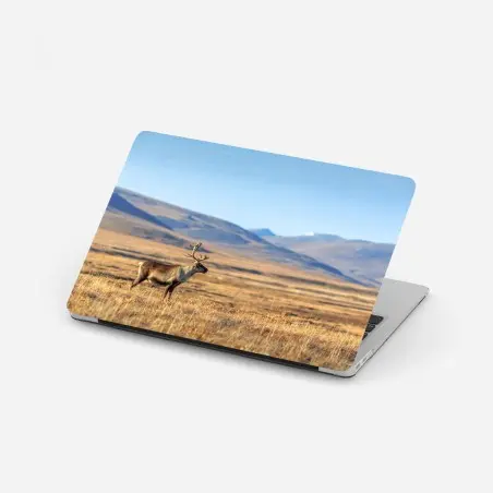 Pegatina para portátil reno solitario en la tundra de Chukotka, Siberia – Pixers®