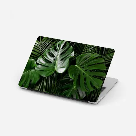 Pegatina para portátil composición de hojas tropicales verdes – Pixers®