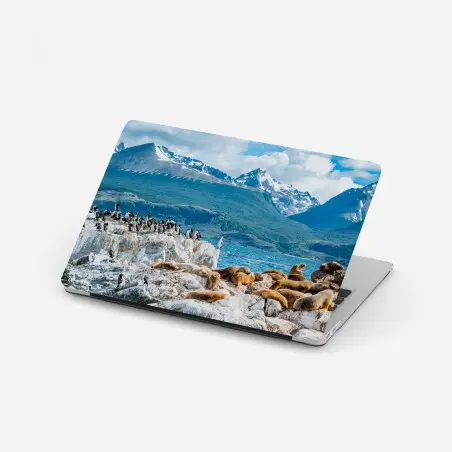 Pegatina para portátil colonia de lobos marinos y aves marinas frente a montañas nevadas – Pixers®