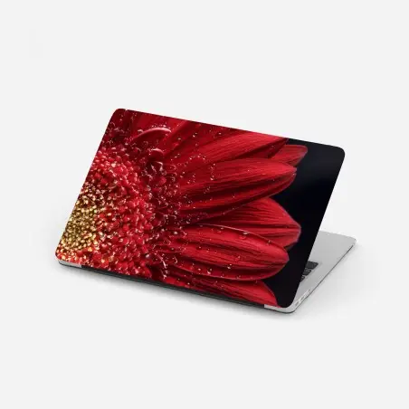 Pegatina para portátil gerbera roja en primer plano con gotas – Pixers®
