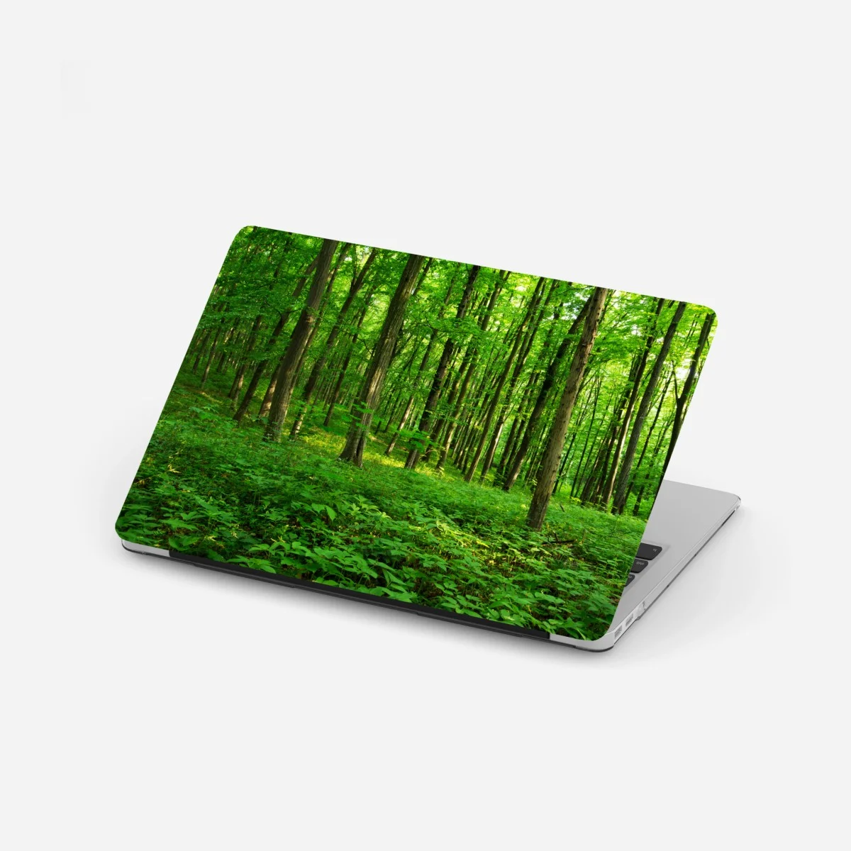 Pegatina para portátil bosque verde bañado por el sol – Pixers® Pegatina para portátil bosque verde bañado por el sol – Pixers®