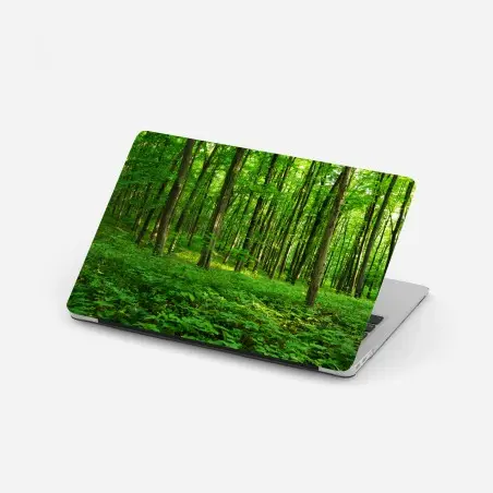 Pegatina para portátil bosque verde bañado por el sol – Pixers®