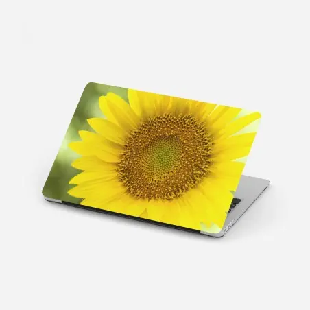 Pegatina para portátil girasol luminoso en primer plano – Pixers®