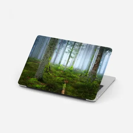 Pegatina para portátil bosque brumoso de Alsacia – Pixers®