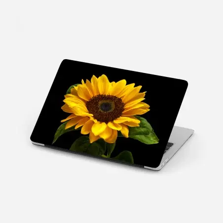Pegatina para portátil girasol luminoso sobre fondo negro – Pixers®