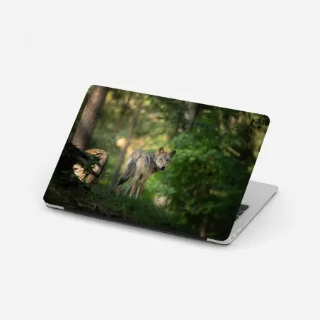 Pegatina para portátil lobo en el bosque al amanecer – Pixers®