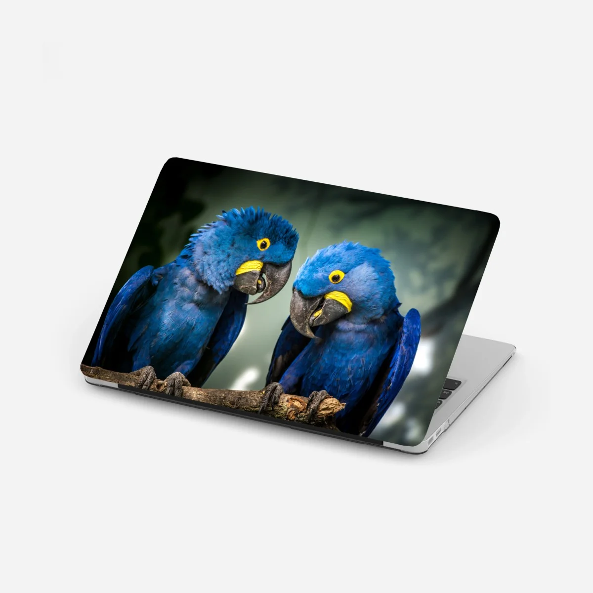 Pegatina para portátil pareja de guacamayos jacintos en rama – Pixers® Pegatina para portátil pareja de guacamayos jacintos en rama – Pixers®