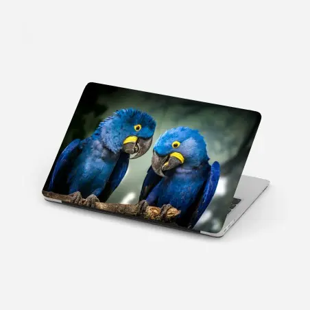 Pegatina para portátil pareja de guacamayos jacintos en rama – Pixers®
