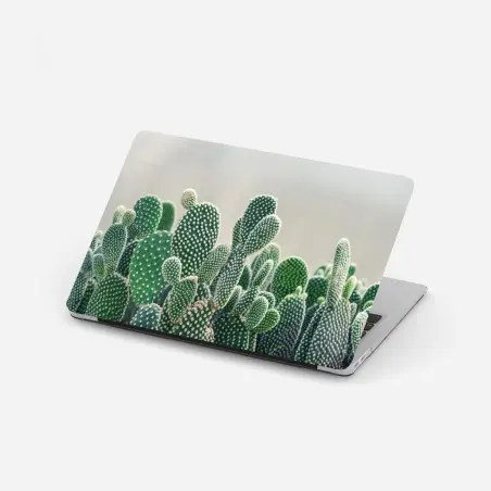 Pegatina para portátil cactus opuntia en primer plano para decoración – Pixers®