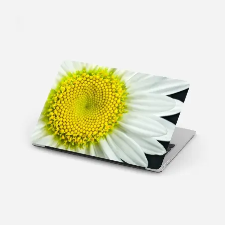 Pegatina para portátil margarita en primer plano con patrón Fibonacci – Pixers®