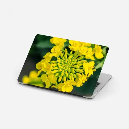 Pegatina para portátil detalle floral de colza amarilla – Pixers®