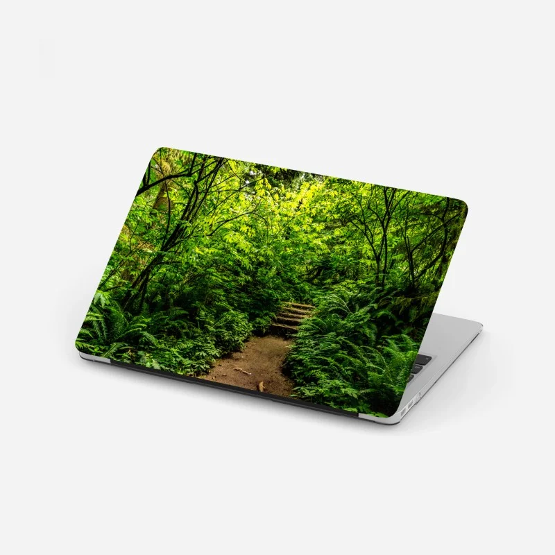 Pegatina para portátil sendero entre helechos en bosque verde