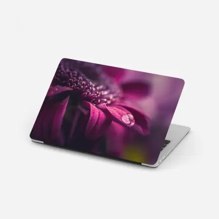 Pegatina para portátil pétalo púrpura con gota de rocío – Pixers®
