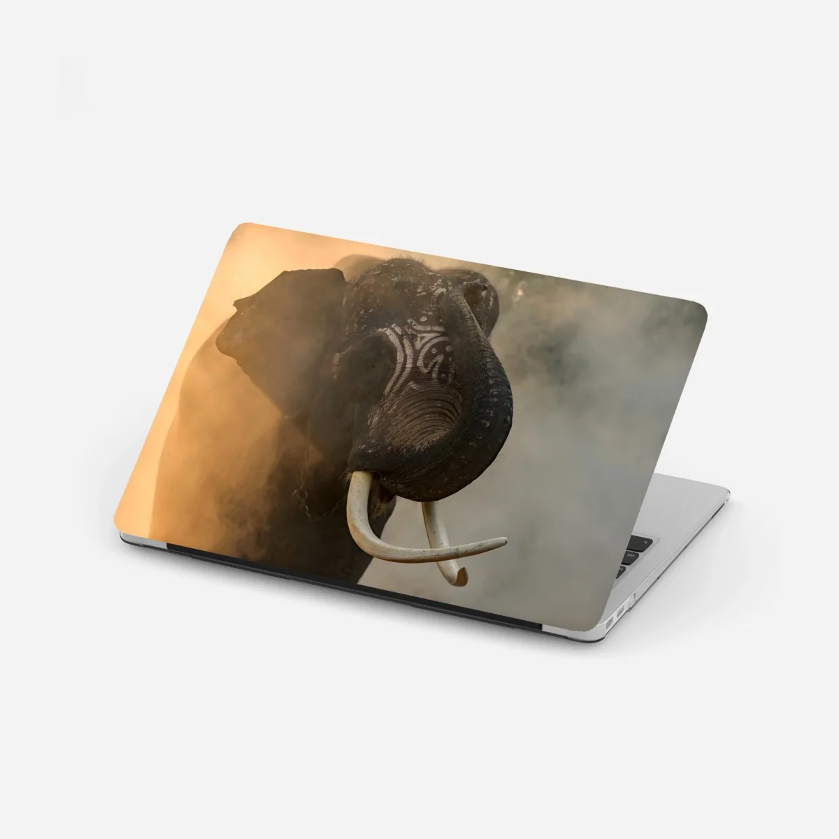 Pegatina para portátil elefante de Surin en la niebla dorada – Pixers® Pegatina para portátil elefante de Surin en la niebla dorada – Pixers®