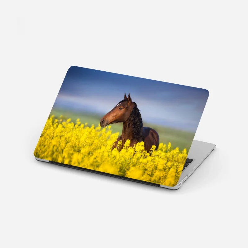 Pegatina para portátil caballo castaño en campo de colza